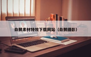 永安白鹅素材特效下载网站（白鹅摄影）